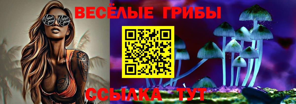 Избербаш  цена   Вход с VPN  Псилоцибиновые грибы Psilocybe  Псилоцибиновые грибы MAGIC MUSHROOMS 